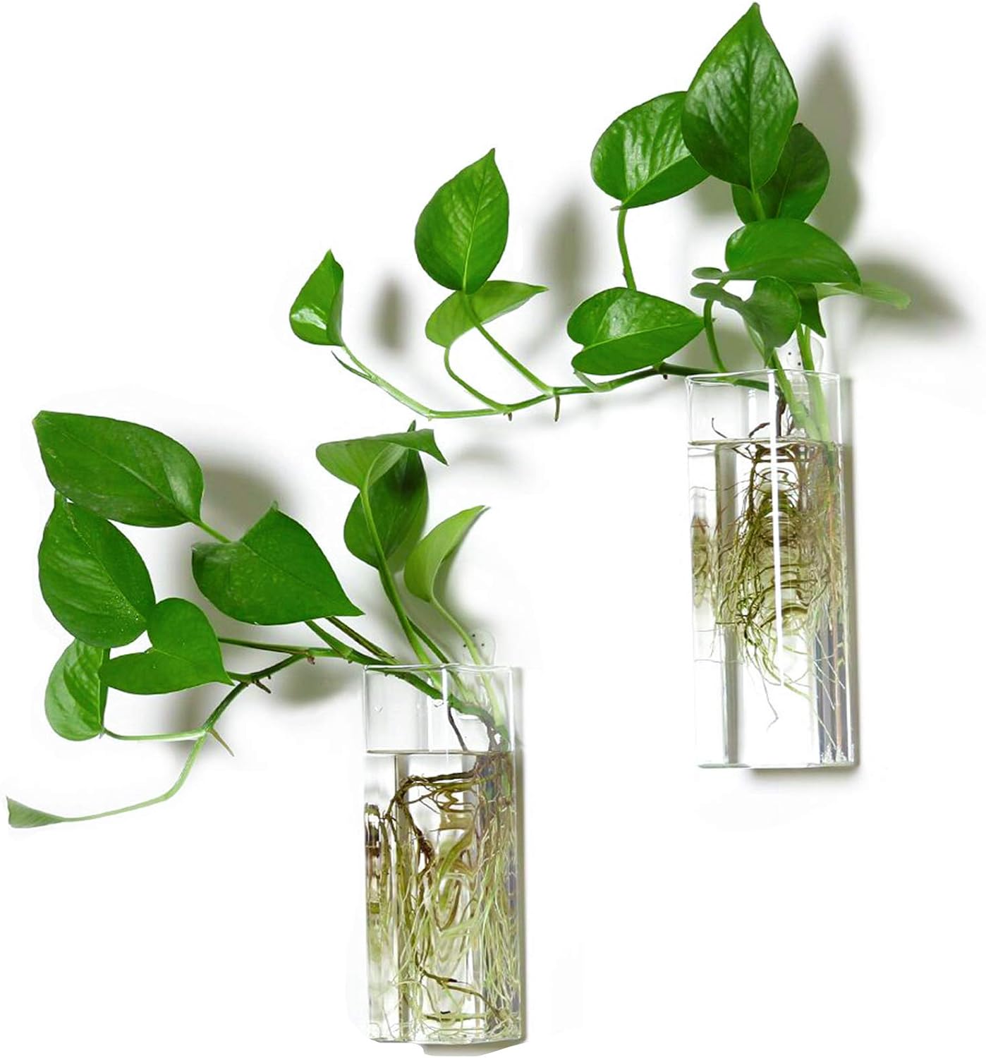 Maceta vidrio terrario florero colgante decoración hogar