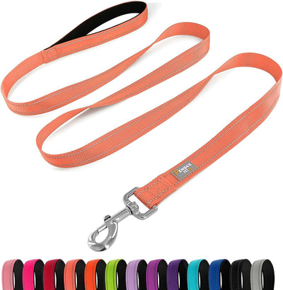 Correa reflectante perro 6ft asa acolchada nailon color coral