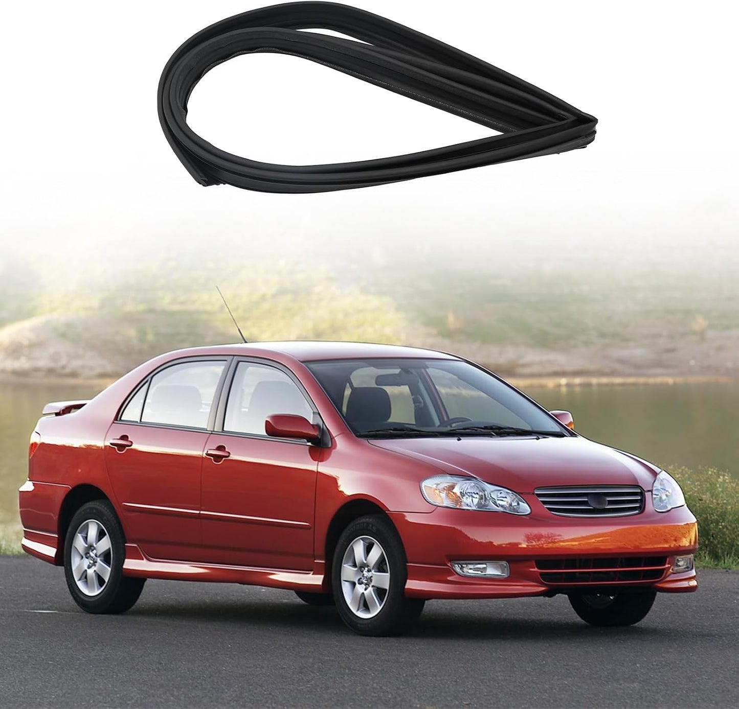 Fieltro puerta derecha Toyota Corolla Altis 02-06