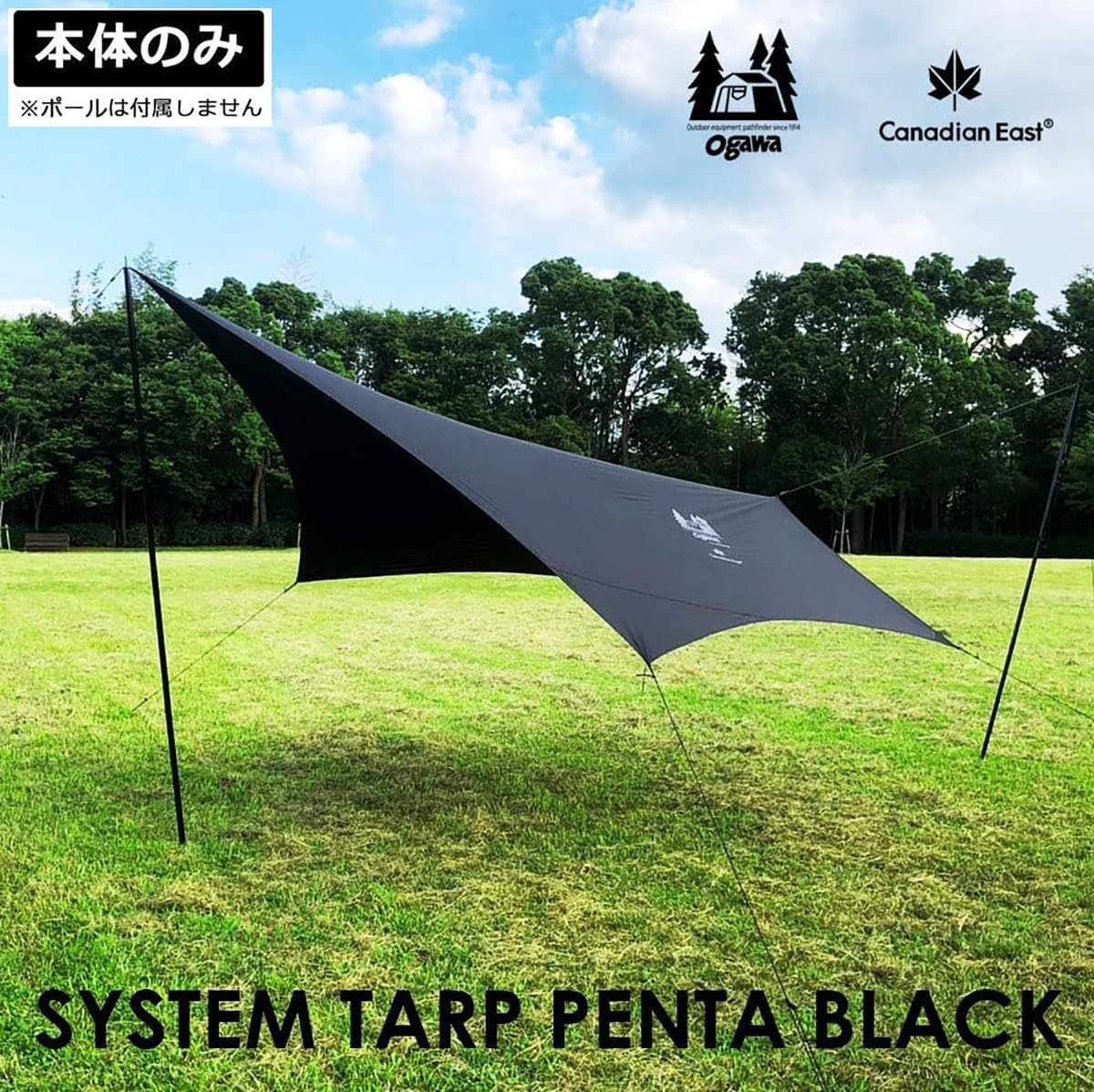 Tarp Pentagon Negro para Camping Exterior