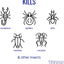 Spray mata insectos TERRO 16oz interior y exterior