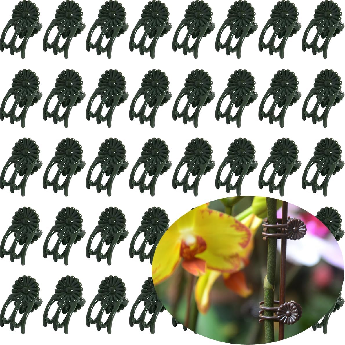 Clips orquídea para soporte plantas 100 piezas verde