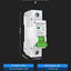 Interruptor circuito mini DC 12V-110V 6A carril DIN