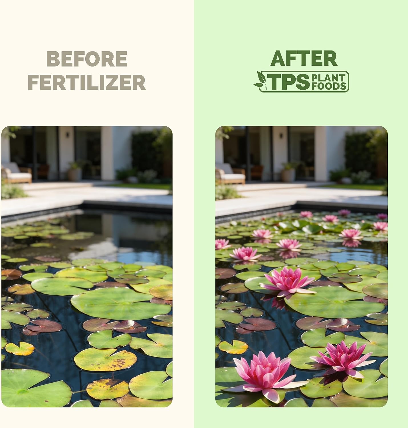 Fertilizante acuático para plantas estanque 32oz