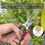 Tijeras podar jardinería acero inox 8.1pulg color rojo