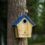 Casa madera nido pájaros jardín azul rey