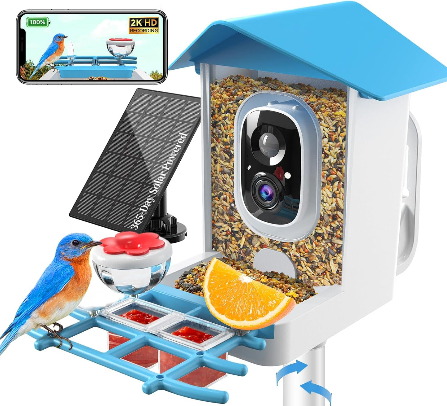 Comedero Inteligente Pájaros Cámara 2K AI Sensor Peso Solar