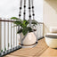 3 Colgadores Macramé para Plantas 35/30/24pulg Gris