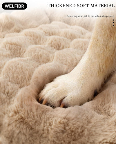 Cama perro espuma triturada 35x25pulg funda lavable