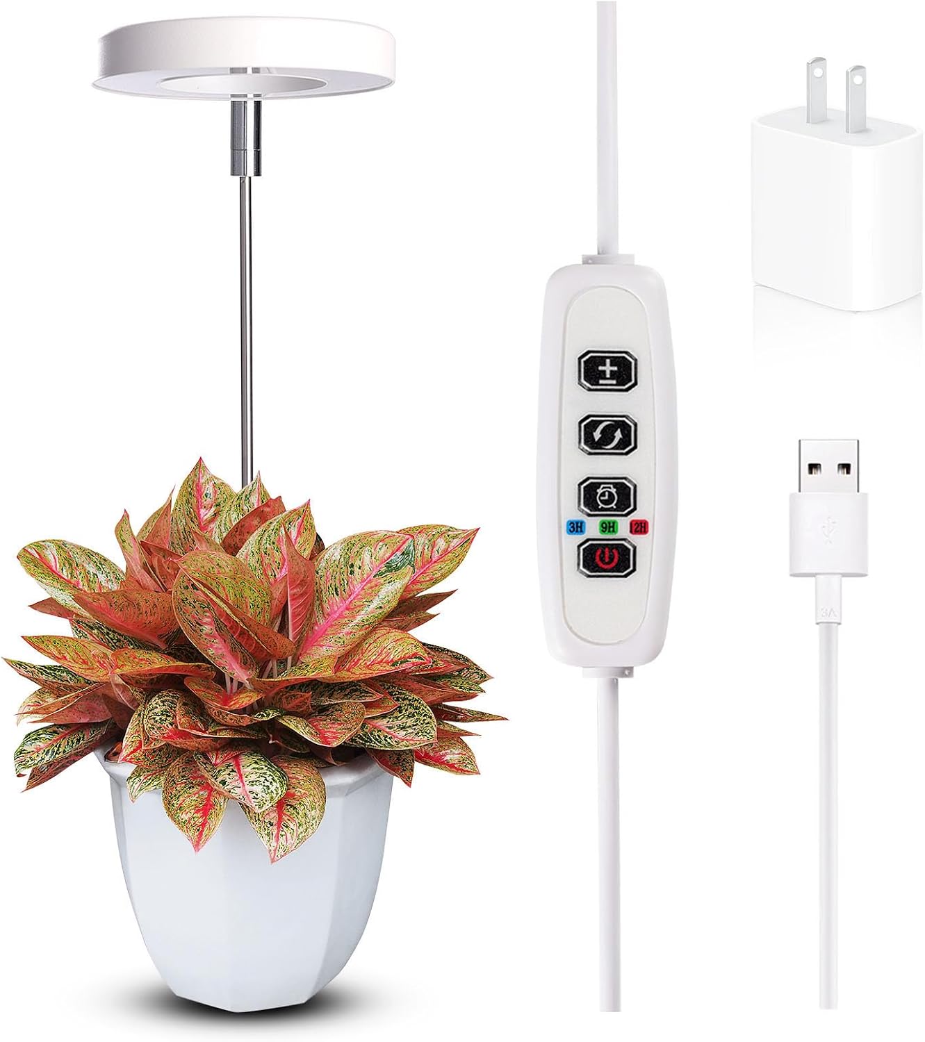 Luz cultivo interior maceta espectro completo 10 niveles