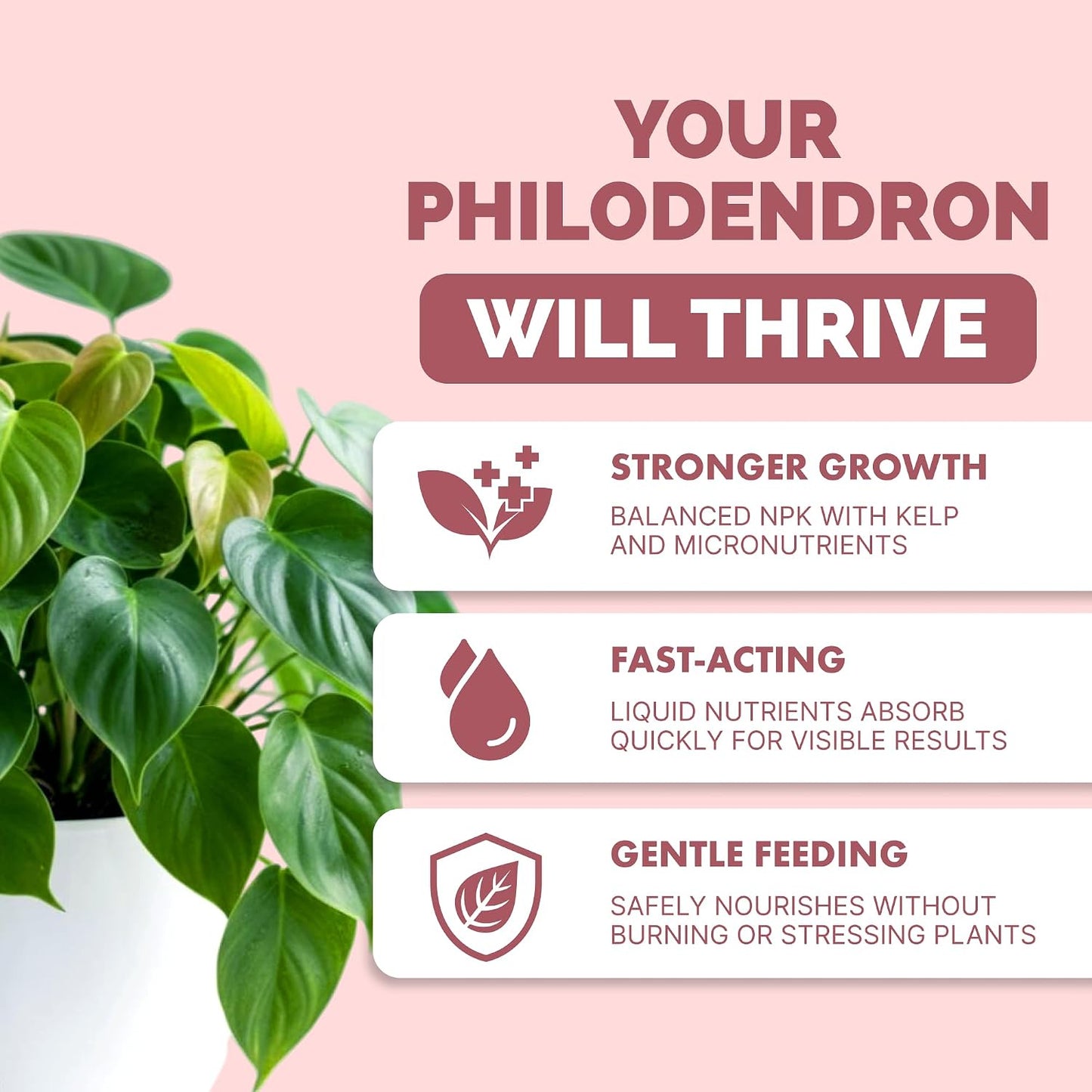 Alimento líquido para philodendron 8oz hojas grandes