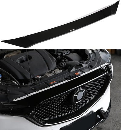 Deflector insectos CX-5 17-25 negro brillante