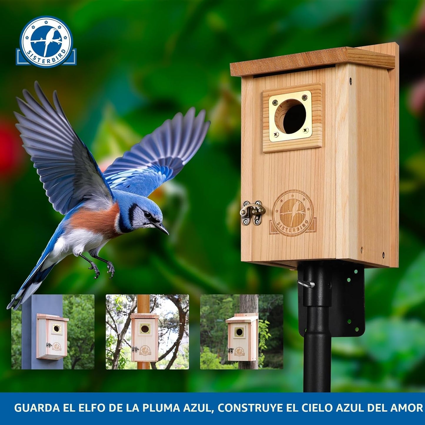 Casas para pájaros de cedro con protector de cobre exterior
