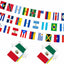 Set 2 banderas 33 países América Latina 80pies