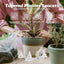Insertos cónicos reutilizables para macetas drenaje jardinería