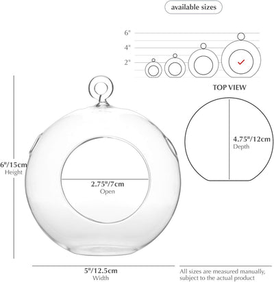 Globo terrario colgante 5x6pulg florero vidrio