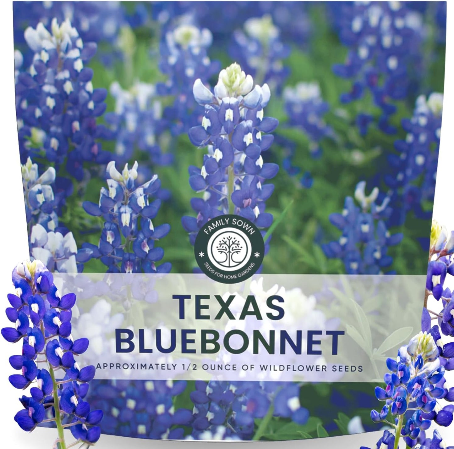 Semillas Texas Bluebonnet 0.5oz para plantar 2026