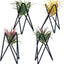 4 Soportes plantas aire base Tillandsia metal geométrico