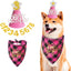 Suministros fiesta perro bandana sombrero traje labrador