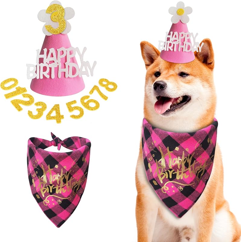 Suministros fiesta perro bandana sombrero traje labrador