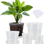 Macetas plástico transparente 4-7pulg set 8 reutilizables