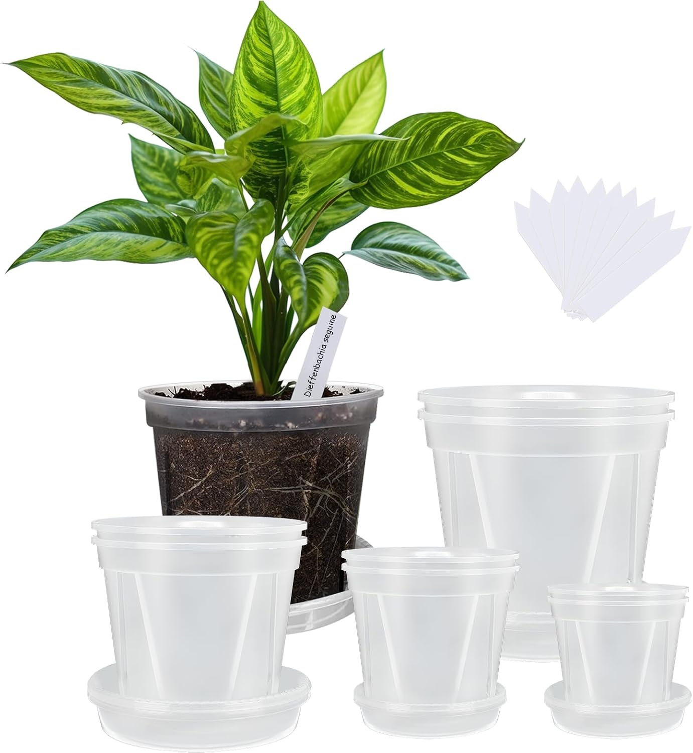 Macetas plástico transparente 4-7pulg set 8 reutilizables
