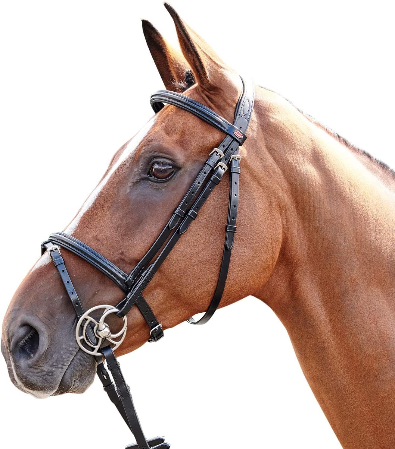 Cuerpo de silla Barton Raised Flash Snaffle