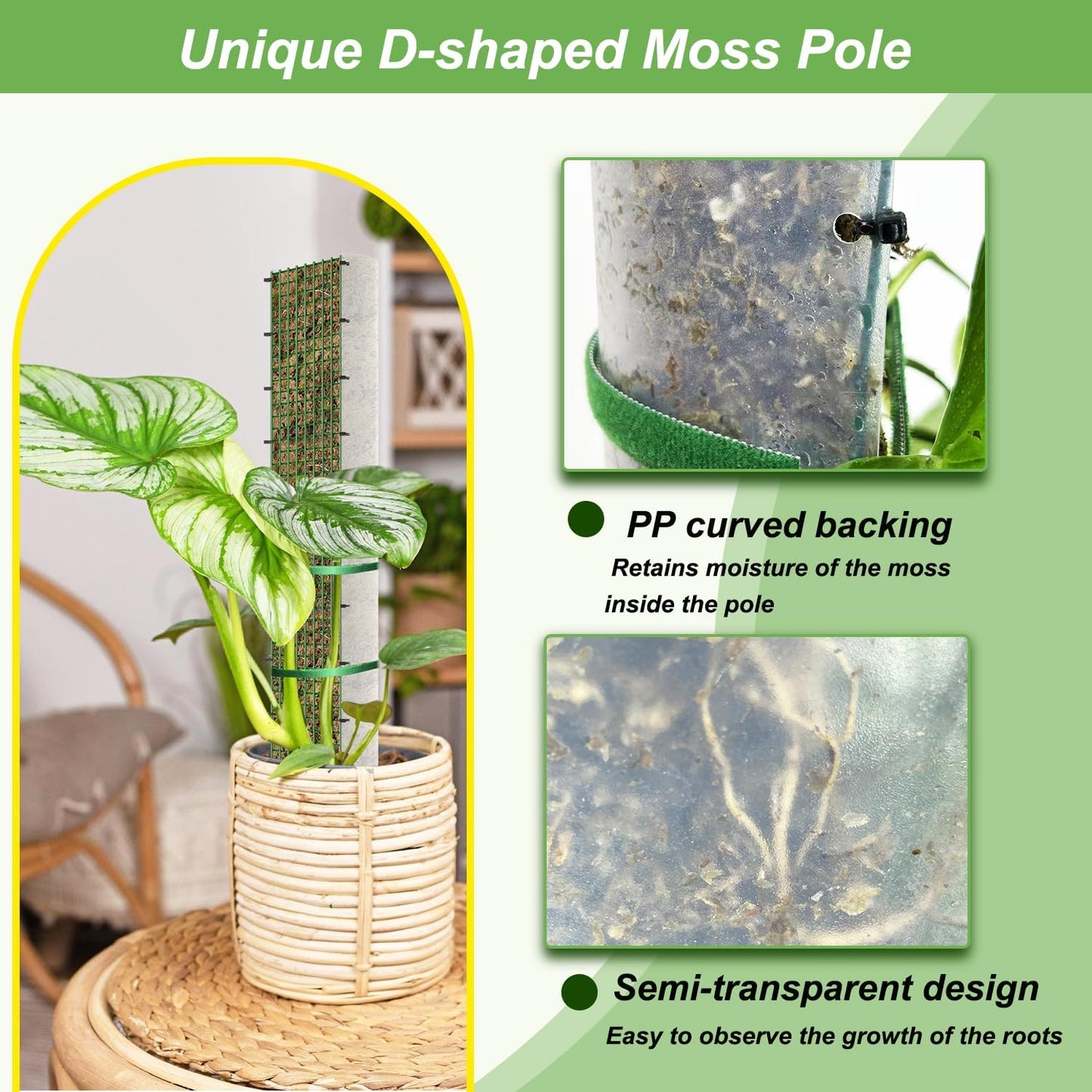 Poste musgo forma D para plantas trepadoras 6 pzas 24"