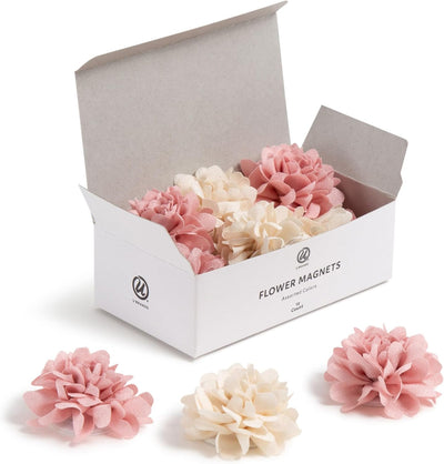Juego 12 imanes rosa crema para pizarra oficina