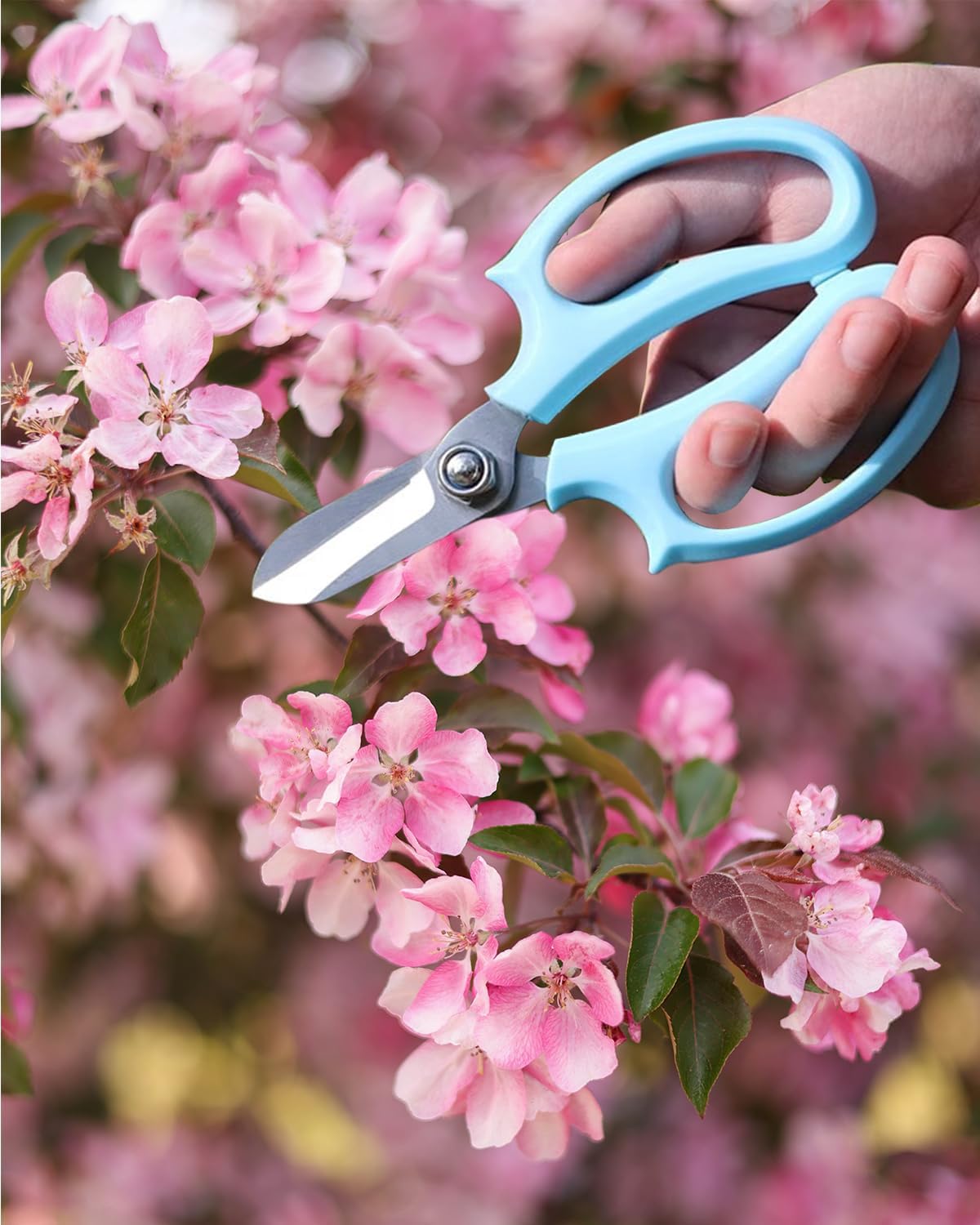 Tijeras florales acero inox para jardín azul