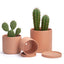 Macetas terracota cilíndricas redondas con drenaje 6.5-10pulg