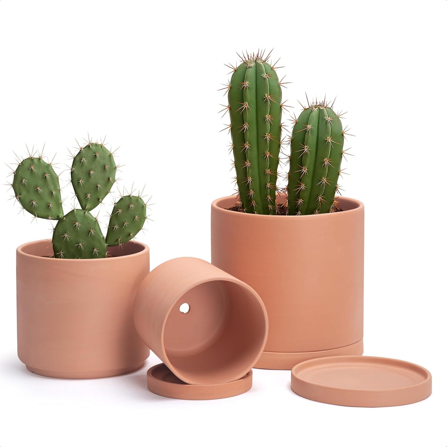 Macetas terracota cilíndricas redondas con drenaje 6.5-10pulg