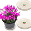 Plato redondo para plantas 60% reciclado 40% piedra