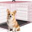 Jaula perros 30pulg doble puerta plegable metal rosa