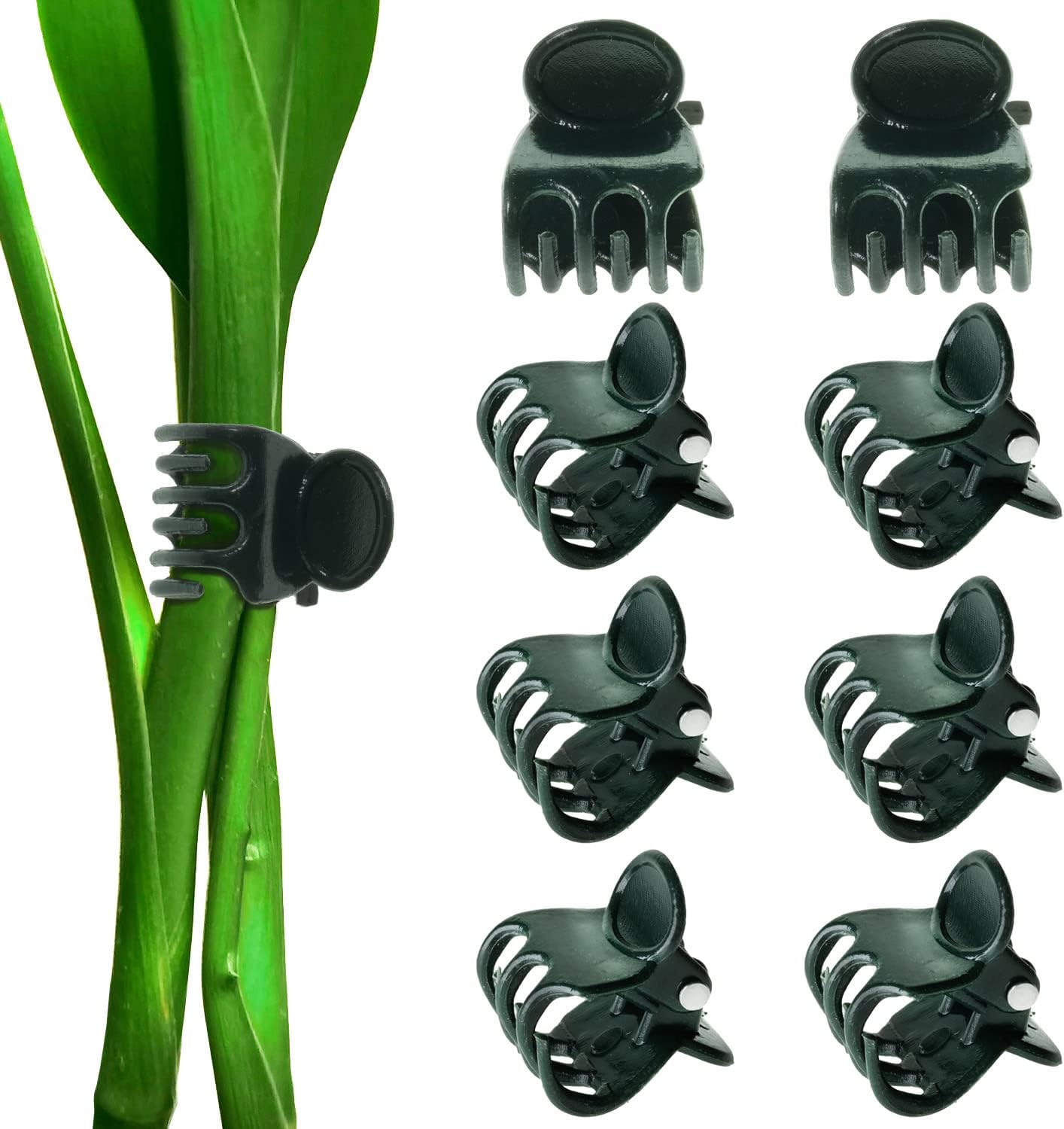 Clips para orquídeas y plantas 100 unidades