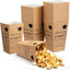 50 Cajas Palomitas Graduación 2025 6pulg Contenedores Papel