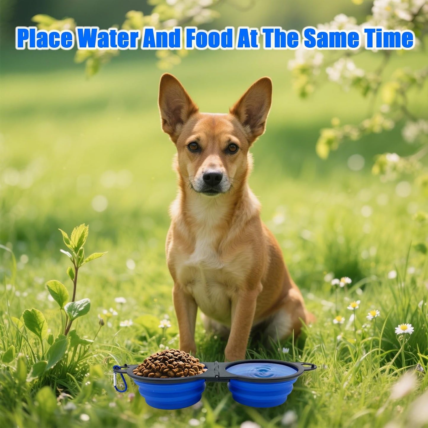 Cuenco agua plegable para perros 2en1 silicona viaje