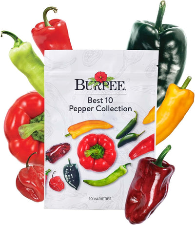 10 Pack Semillas Pimiento Picante y Dulces Sin OGM