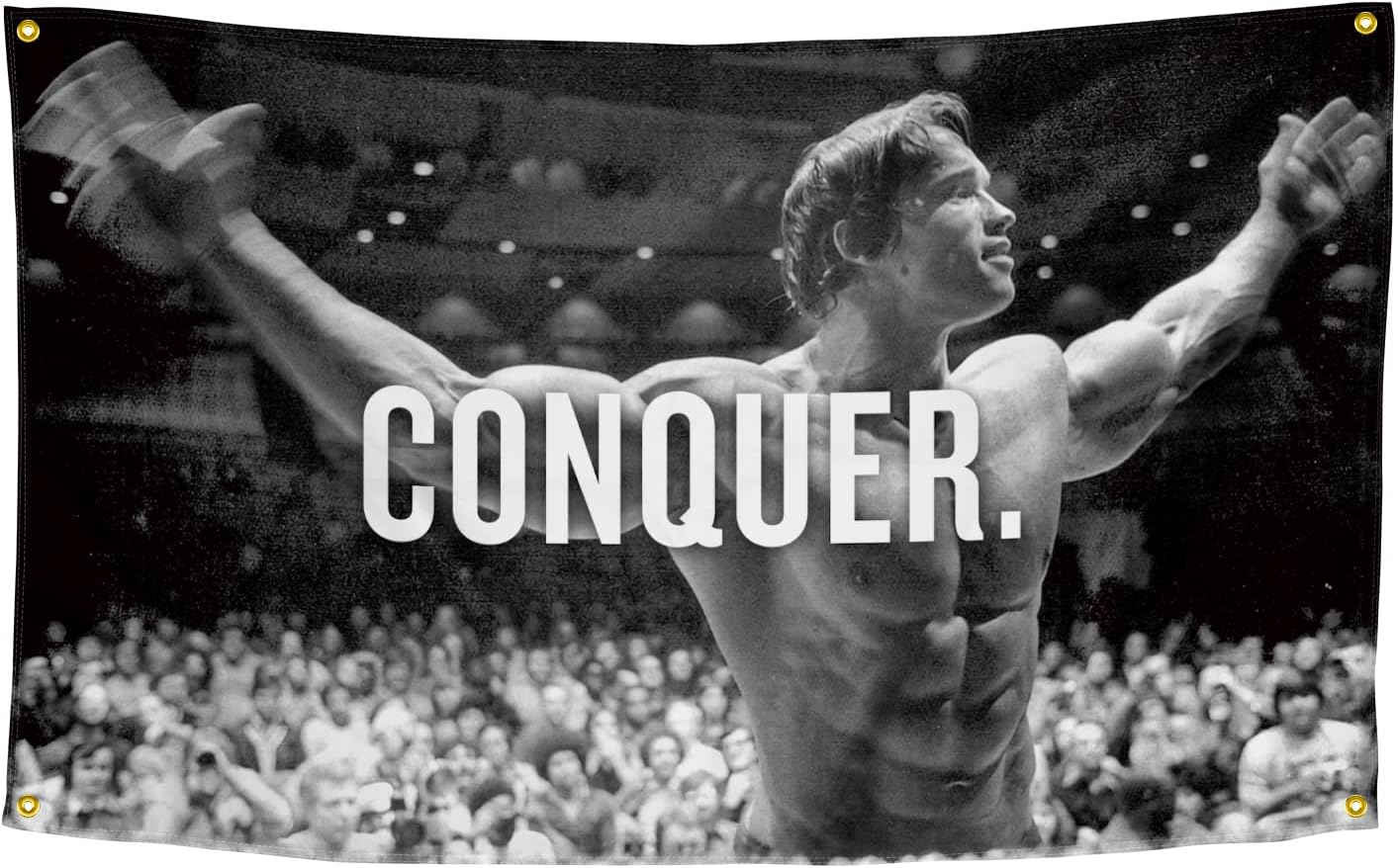 Bandera Arnold Schwarzenegger 3x5ft 4 ojales latón