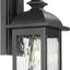 Luminaria pared exterior 1 luz acabado negro mate vidrio