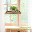 Colgador plantas interior exterior 16pulg madera metal