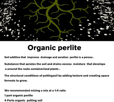 Perlita hortícola grado profesional 2qt