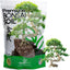 Kit suelo bonsai listo para usar con semillas de loto