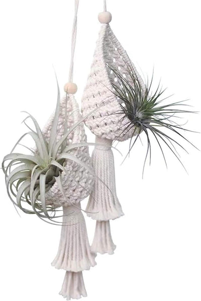 2 Perchas Macramé Cesta Colgante Bohemia Decoración Hogar