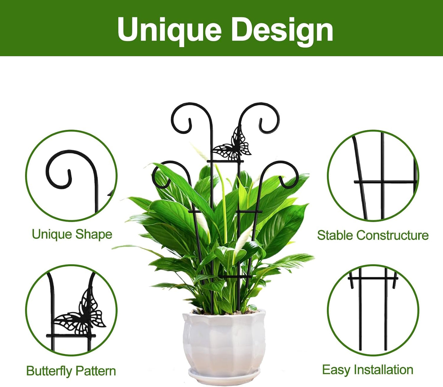 Enrejado metal para plantas trepadoras hiedra Hoya Pothos 2
