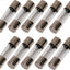 5A Fusible Vidrio Retardo 10 Pzas 5x20mm 125V
