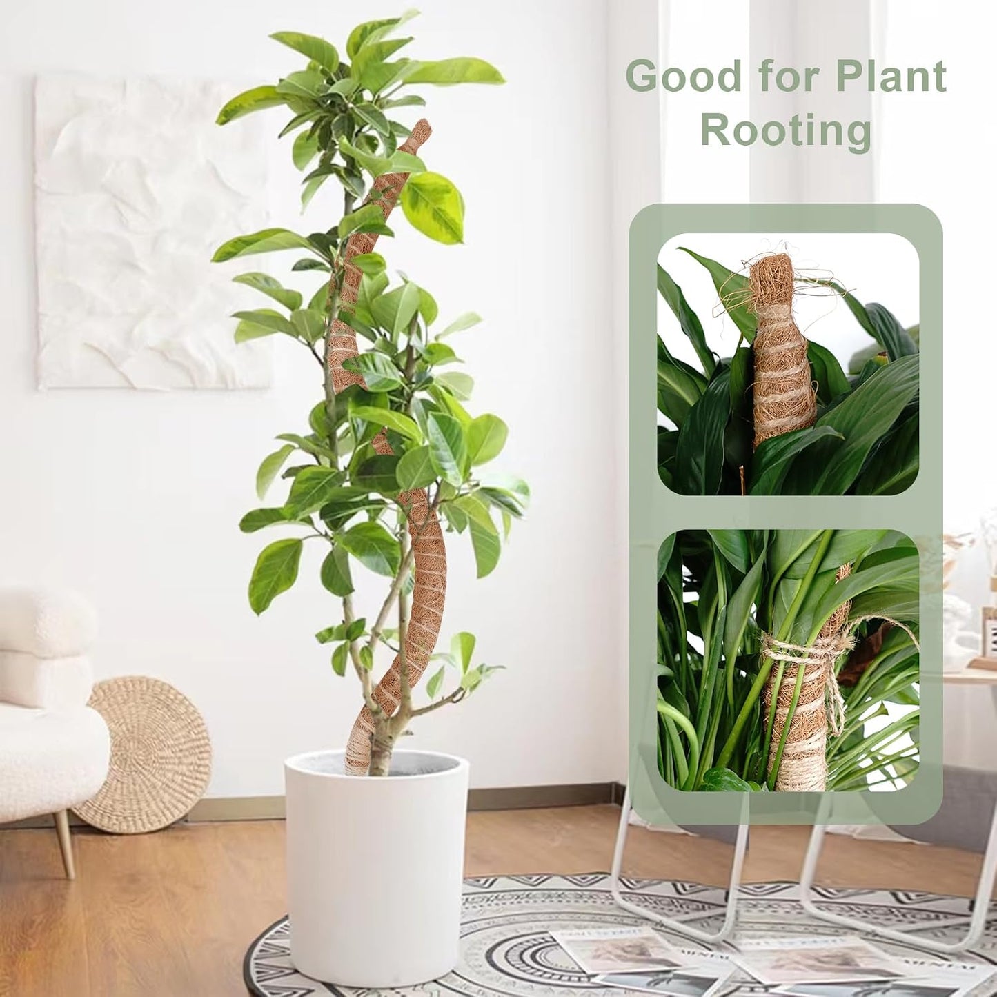 Poste musgo flexible 60pulg para plantas trepadoras interiores