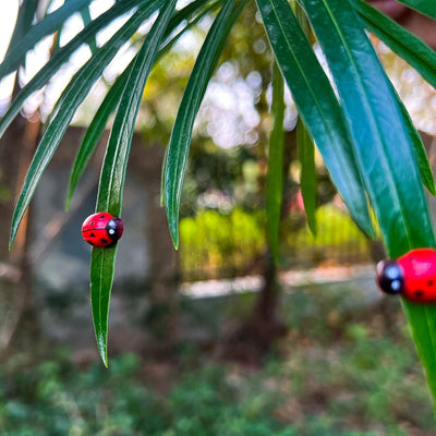 8 imanes seguros para plantas en maceta regalo Navidad