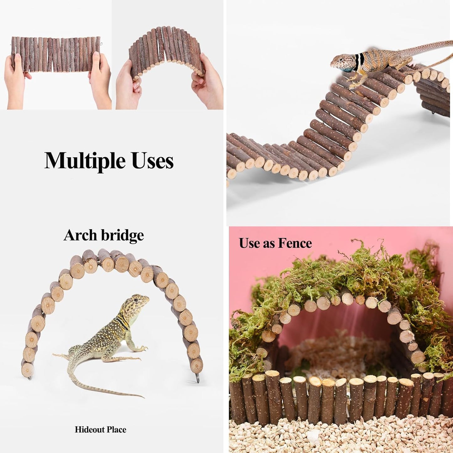 Accesorios terrario dragón barbudo hamaca puente plantas