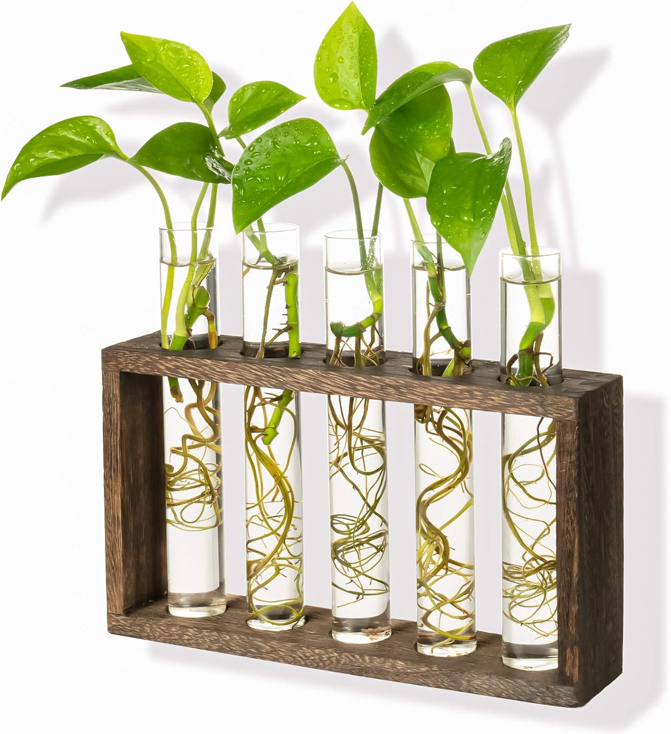 Soporte jarrones madera vintage colgante terrario hierbas